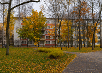 Прощальные краски уходящей осени