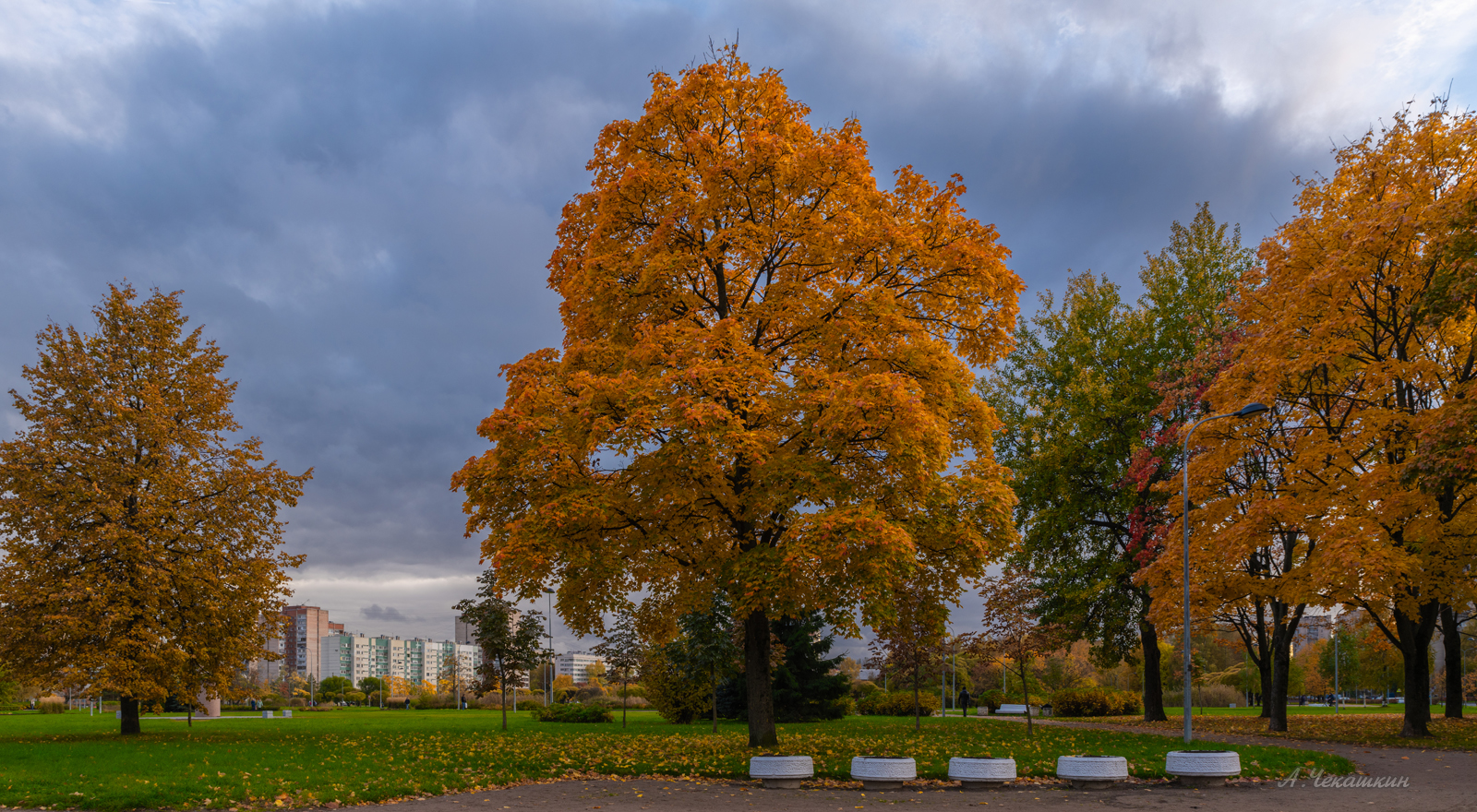 Сад Прометей