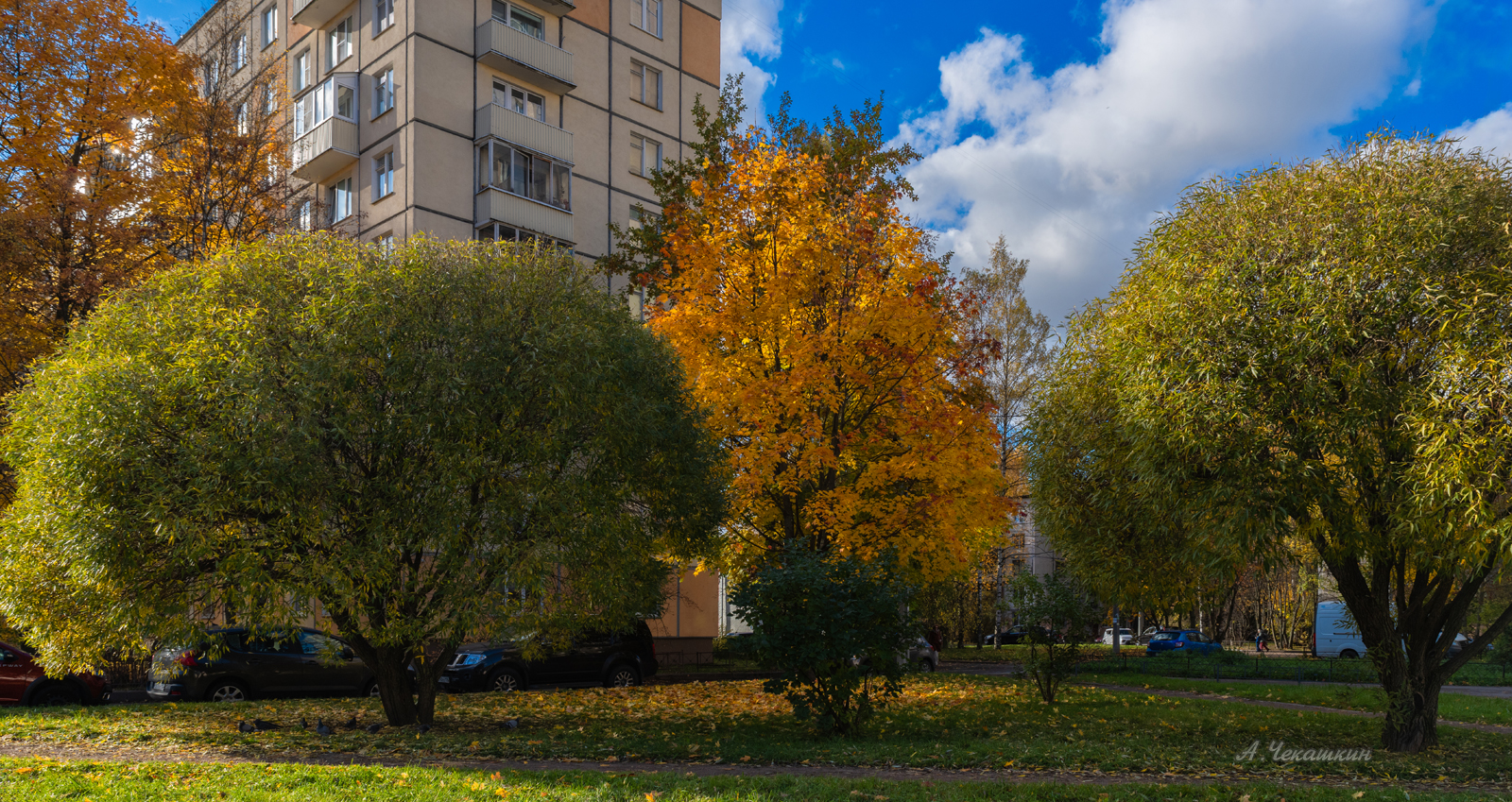 Гражданский проспект