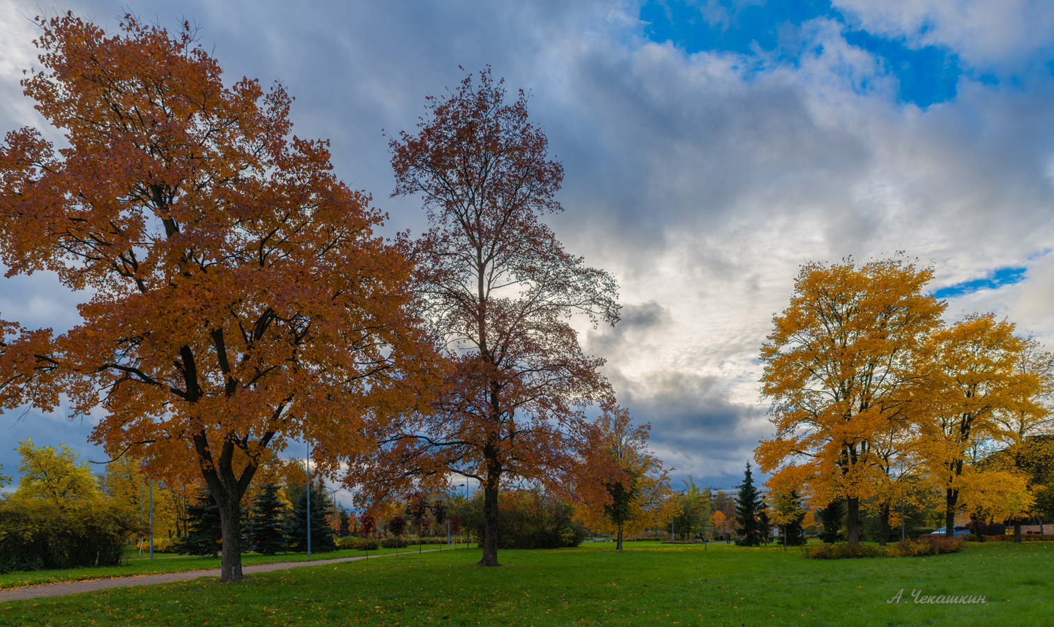 Осень в саду Прометей