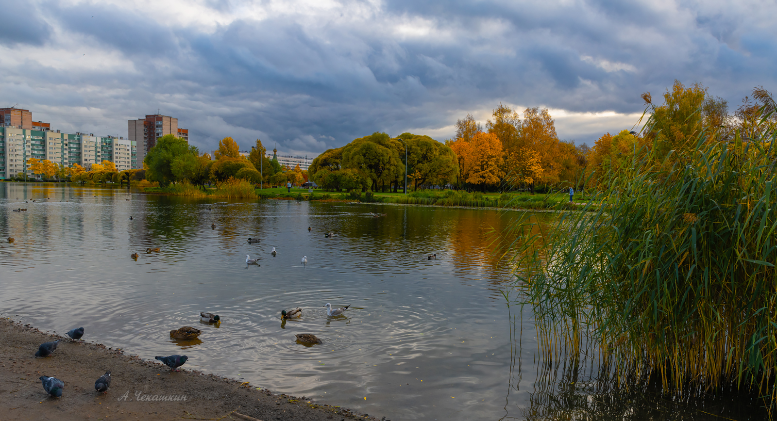 В городском саду