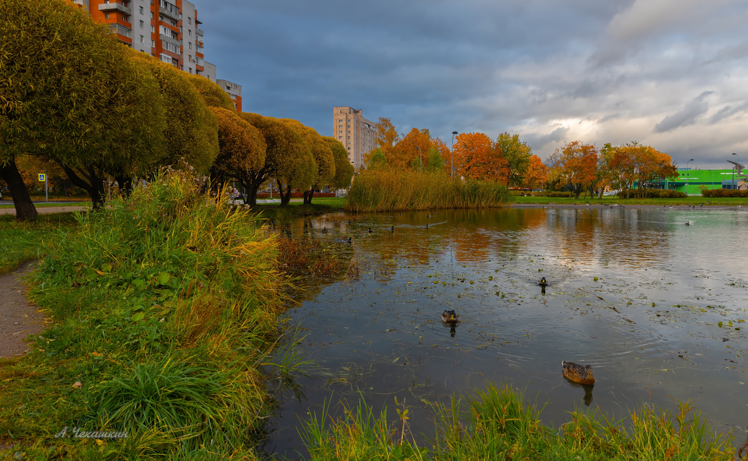 Осень в городском саду