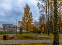 Поздняя осень