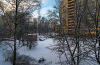 Вид из окна