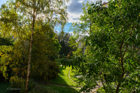 Вид из окна