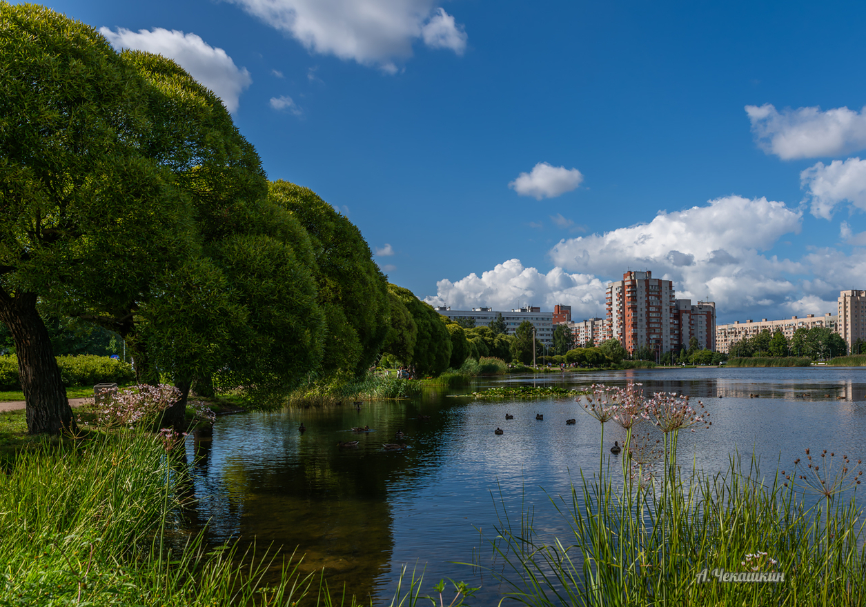 Пруд в саду Прометей