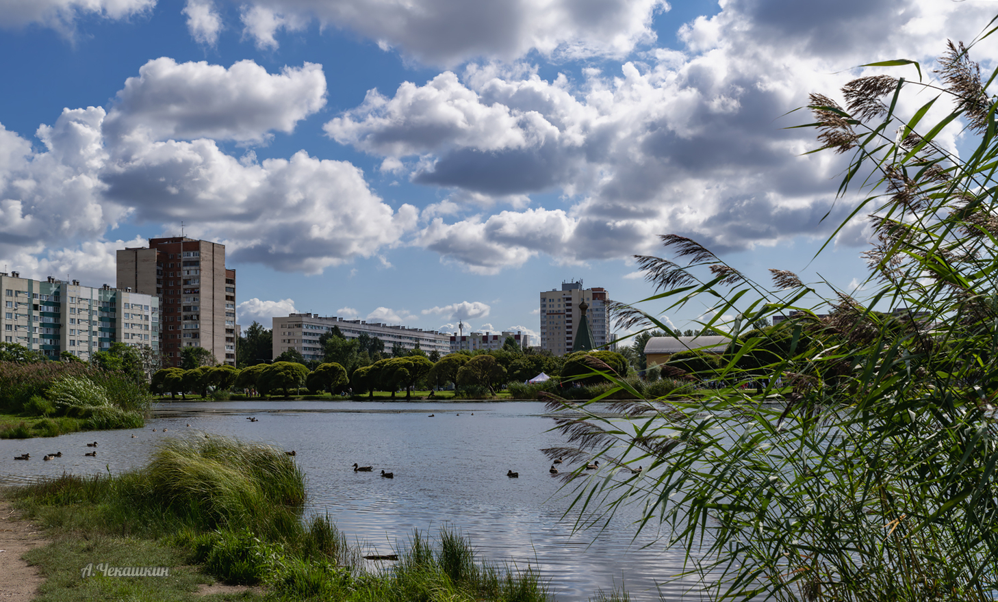 Пруд в саду Прометей