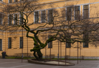 Жизнь прожить - не поле перейти