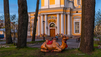 Причём тут верблюд?
