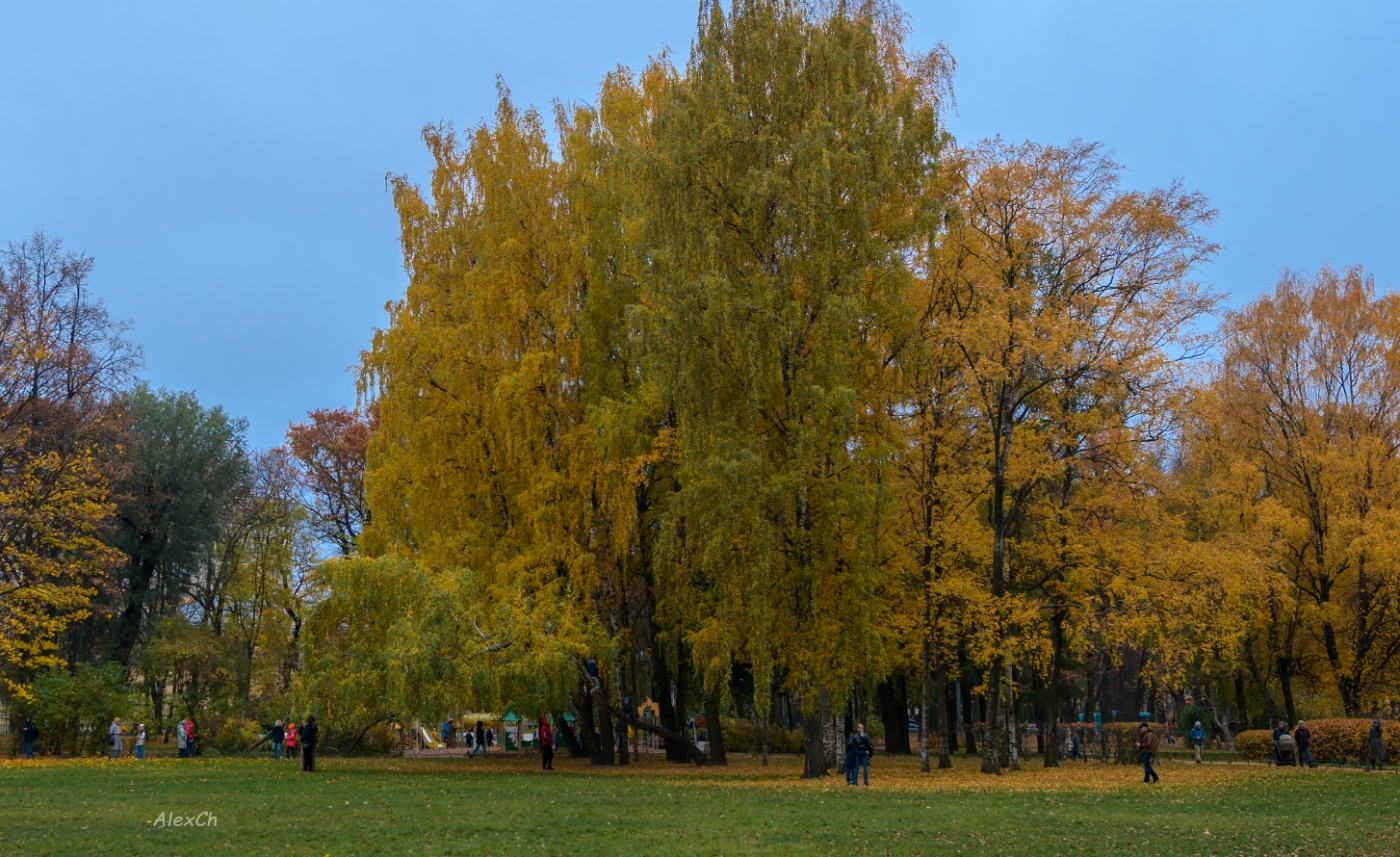 Осень