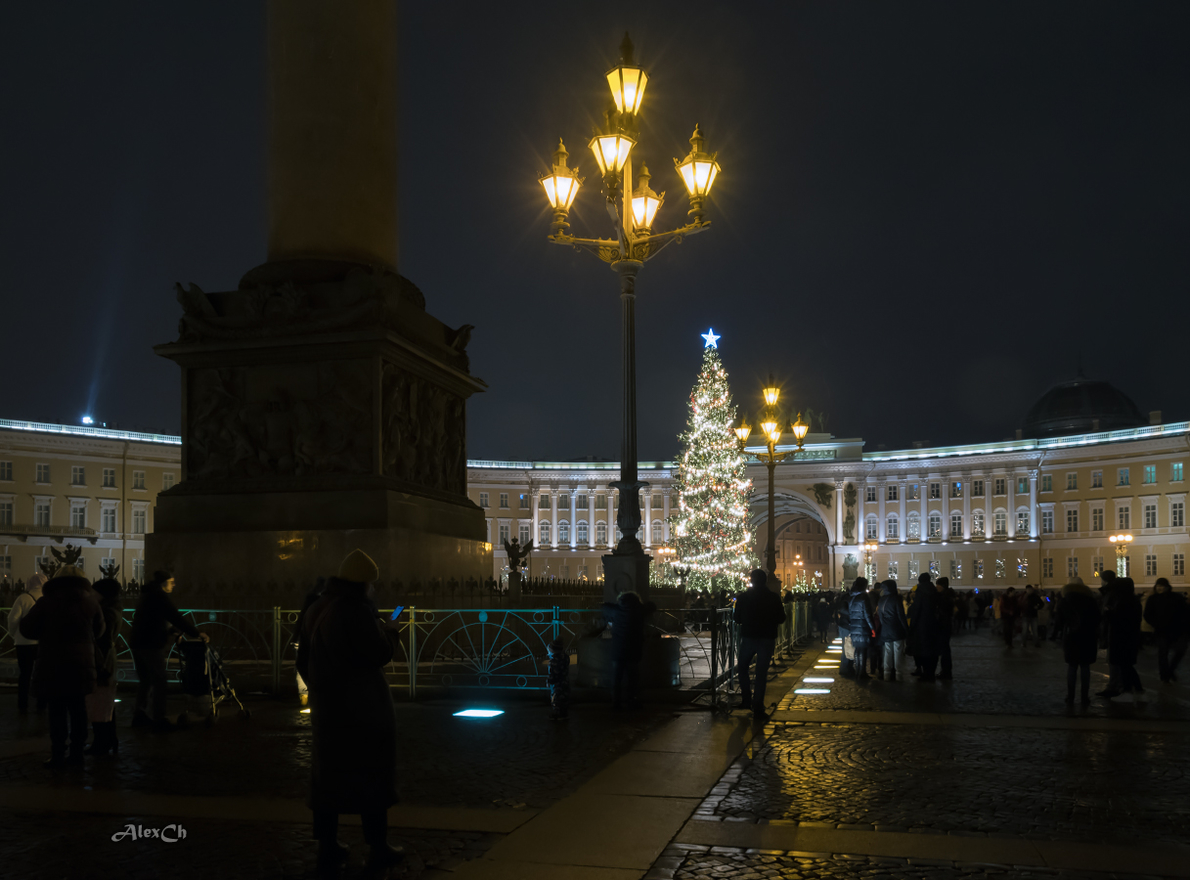 Главная ёлка города