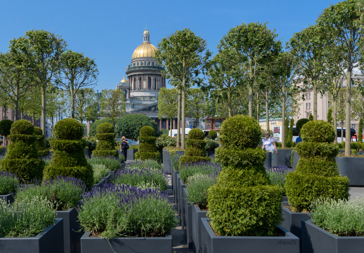 Сад на мосту