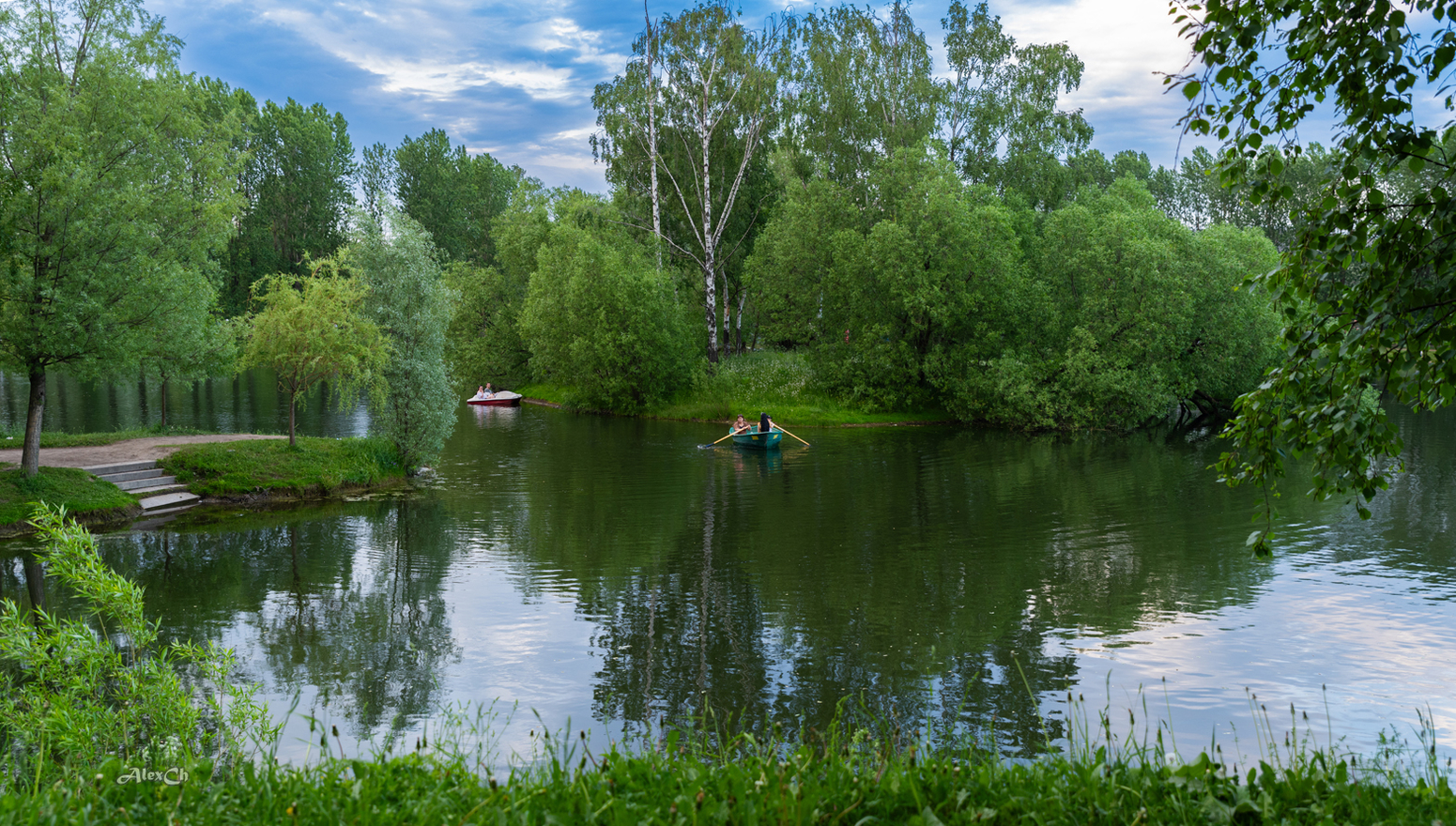 Весь покрытый зеленью...